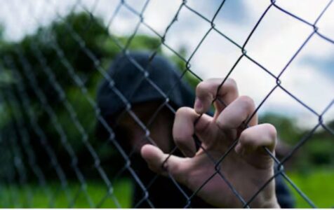 Modificación del Artículo 207 del Código de la Niñez y la Adolescencia: endurecen las penas para menores tras un intenso debate legislativo